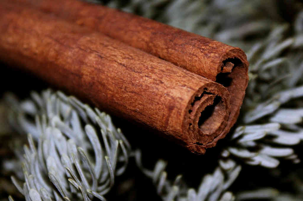to-kanelstaenger traditionel risengrød opskrift